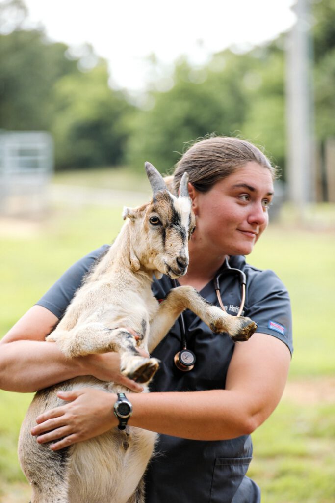 Dr. Megan Heffron, DVM, veterinarian and co-founder of Hoof It Veterinary Clinic